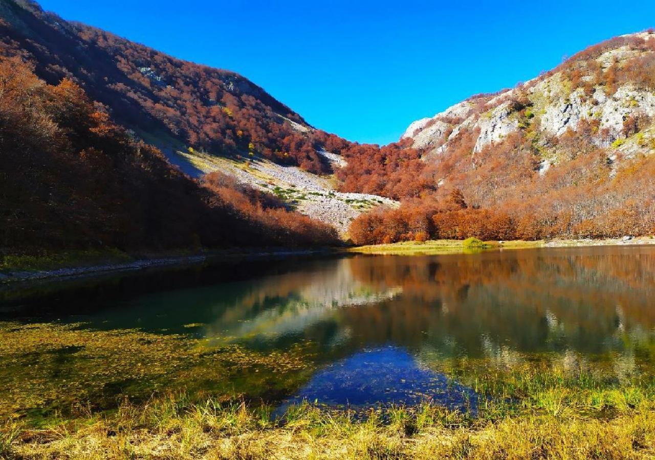 Apartments Ravno Plužine Dış mekan fotoğraf
